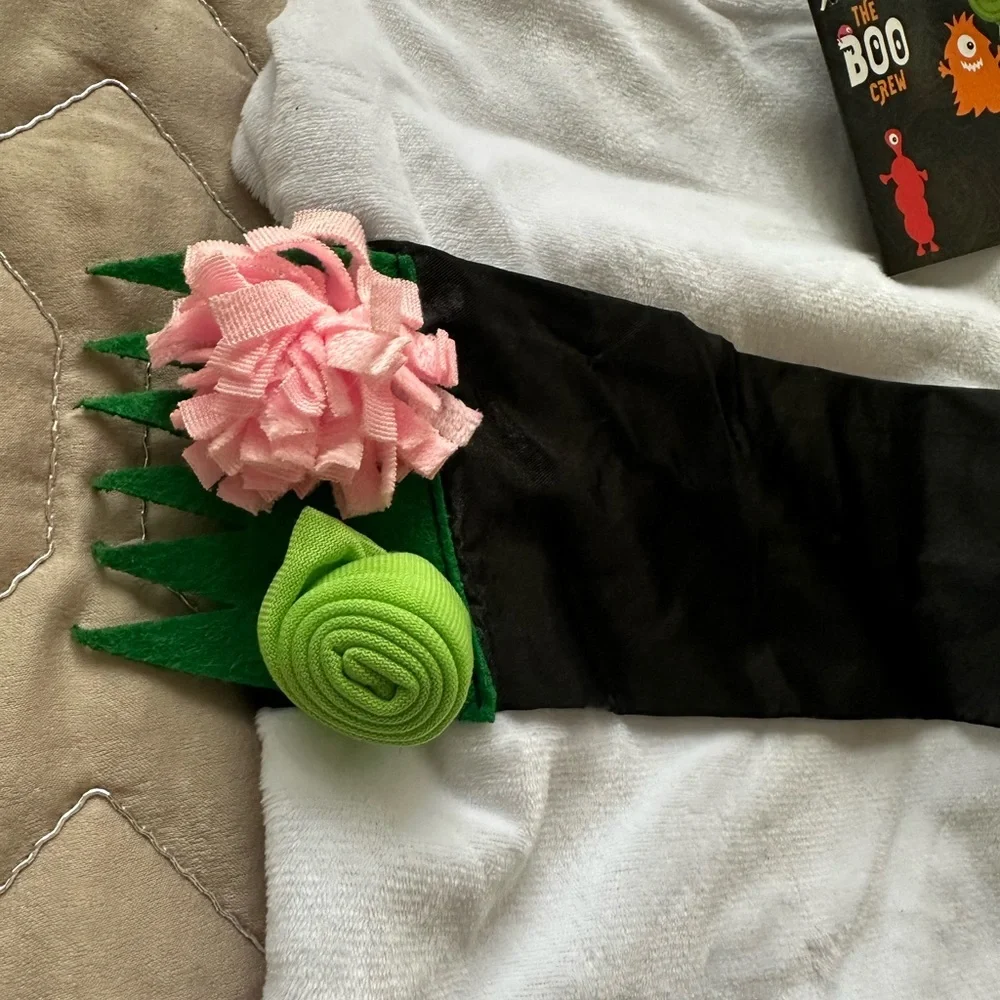 🆕Halloween Pet Costume